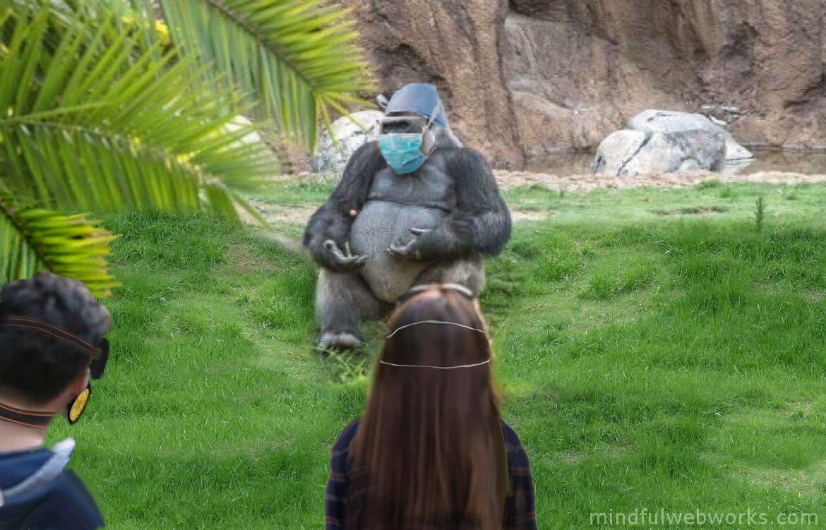 talking ape  02 social distance.jpg